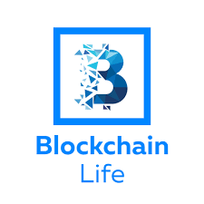 Blockchain Life