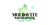 Moldavite Business Booster