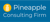 Pineapple Consulting Firm