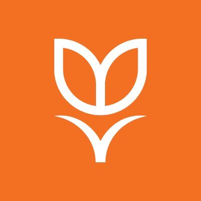 Tulipa Capital