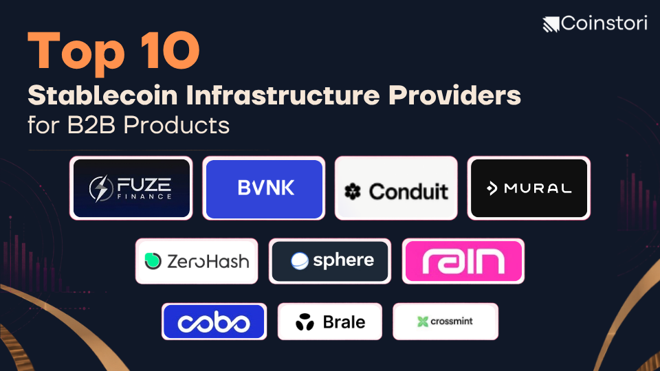 Top 10 stablecoin infrastructure providers for B2B products