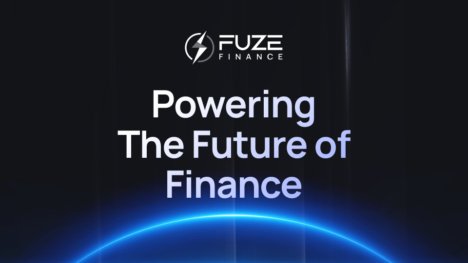 Fuze - Top 10 stablecoin infrastructure providers for B2B products