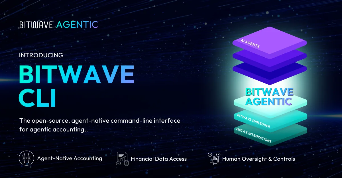 Bitwave - Top 10 corporate stablecoin payment and treasury automation platforms